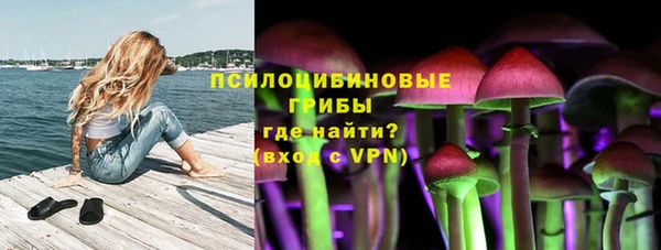 шишки Баксан
