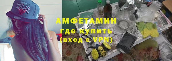 шишки Баксан