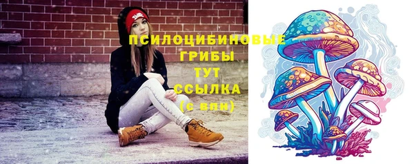 шишки Баксан