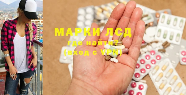 шишки Баксан
