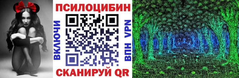 Псилоцибиновые грибы мицелий  Кстово 